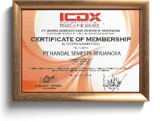 sertifikat icdx
