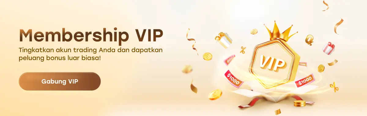 promo program reward vip