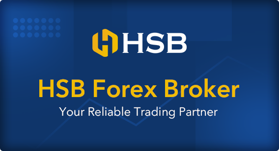 Introduction of HSB Forex Investing