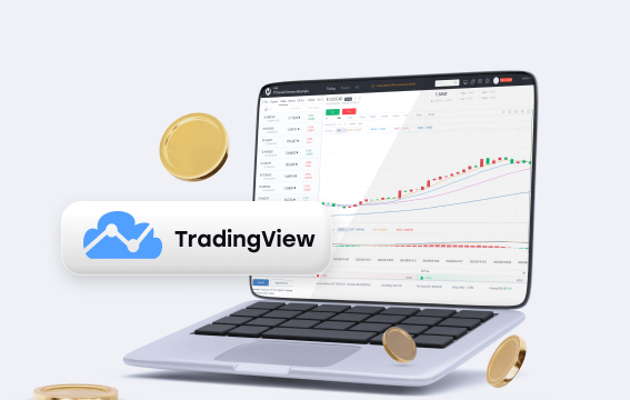 chart tradingview